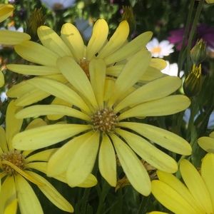 Meet your Posher, Richard